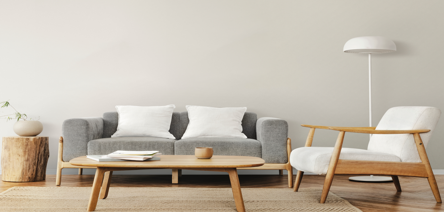 Slide Show Tiếng Việt1